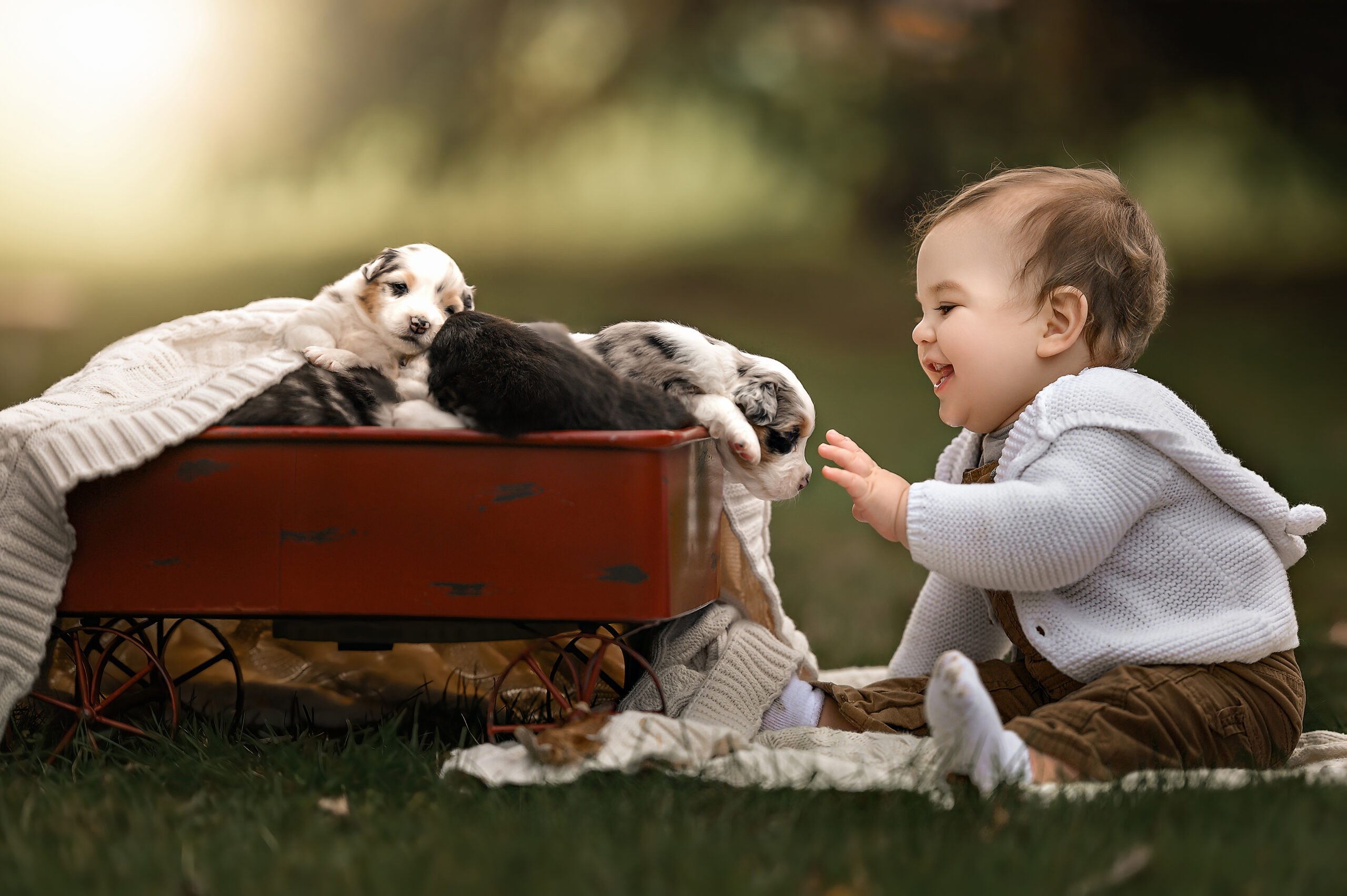 Pediatricians in Virginia Beach. Photo of a baby boy with a wagon of puppies by Iya Estrellado.