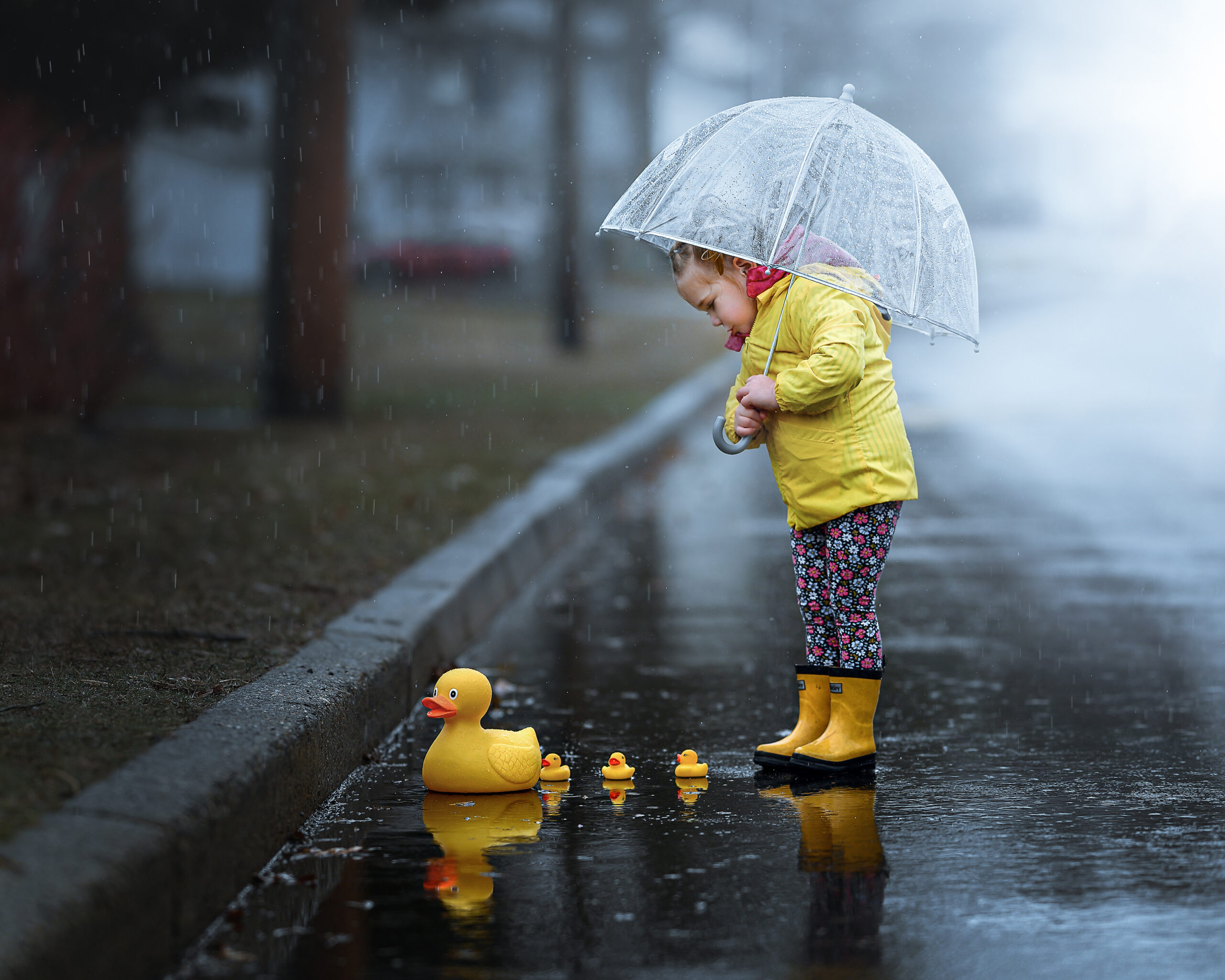 Child playing in the rain with rubber duckies