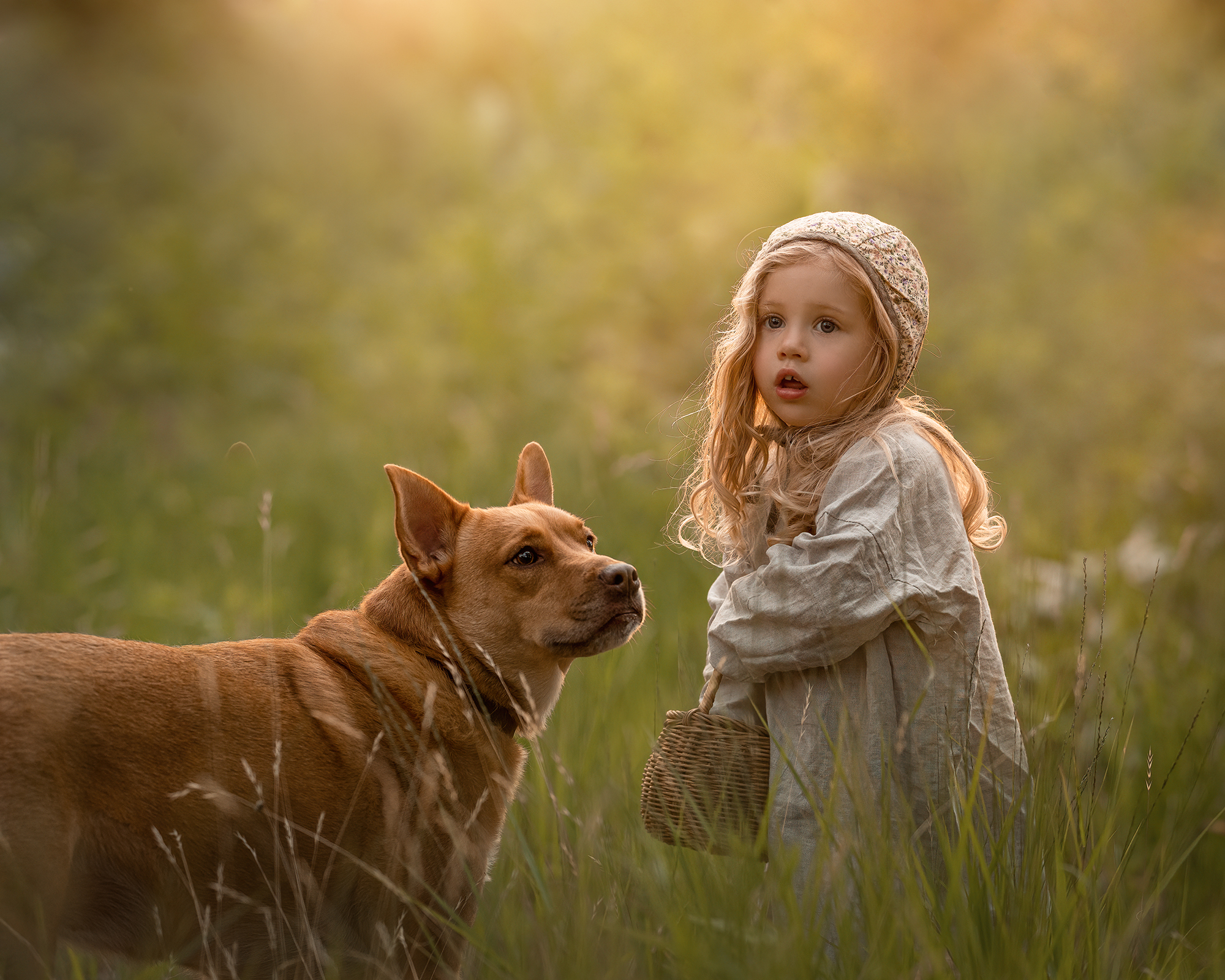 Little girl and her dog playing at the yard on a summer day