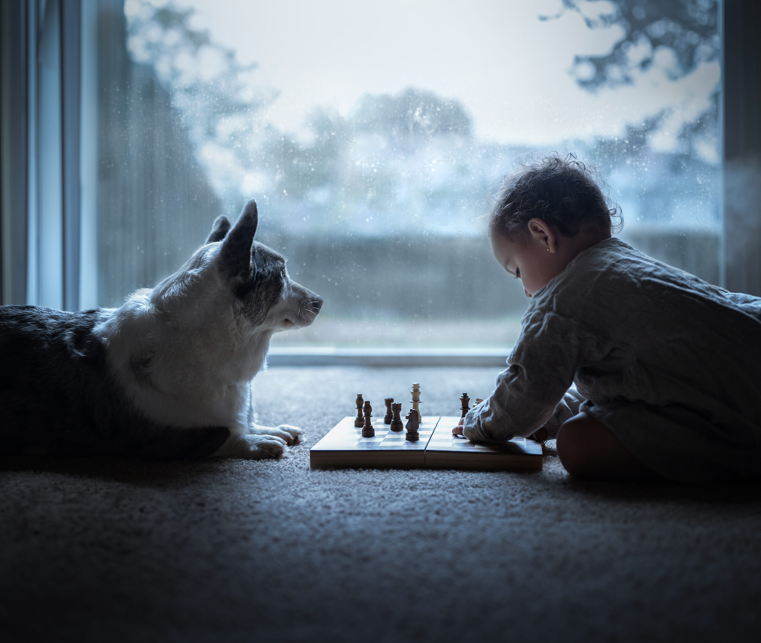 child playing chess while sitting with his dog toy stores virginia beach